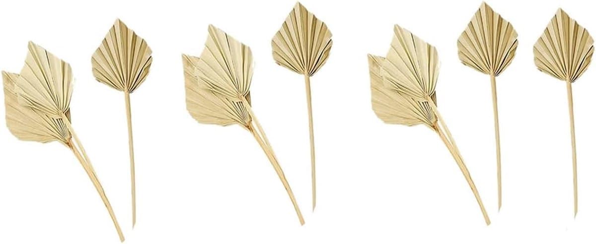 Gedroogde Palmbladeren - Palm Fan Bladeren - Huis Decoratie - Natuurlijk Gedroogd - 10 Stuks - Bruin