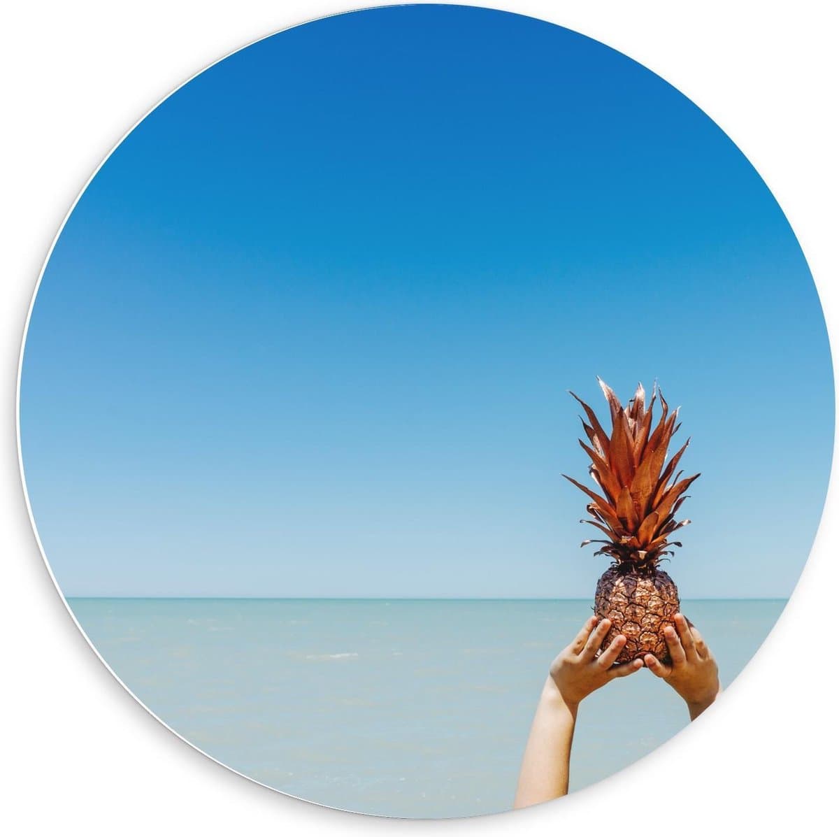 Forex Wandcirkel - Gouden Ananas in de Lucht  - 60x60cm Foto op Wandcirkel (met ophangsysteem)