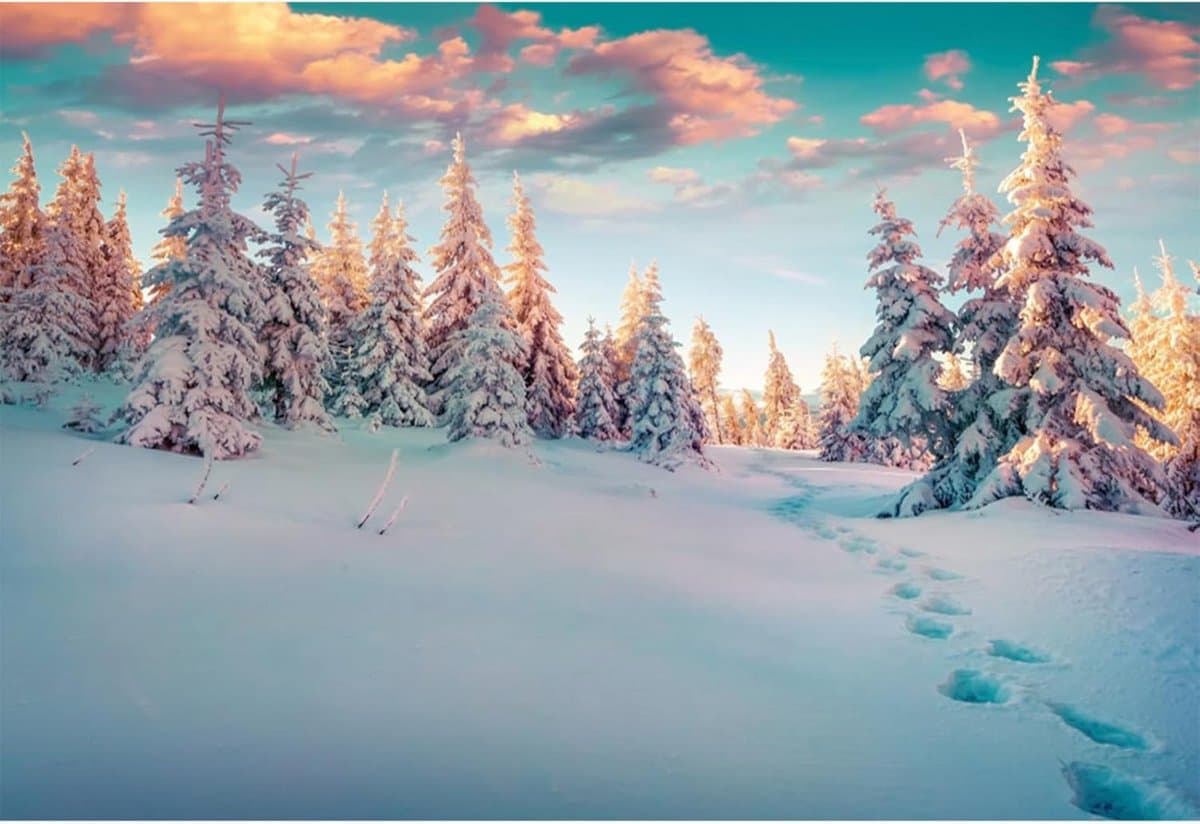 Winter Landschap Achtergrond Fotografie 3x2m Sneeuw Firs Kerst Studio Props