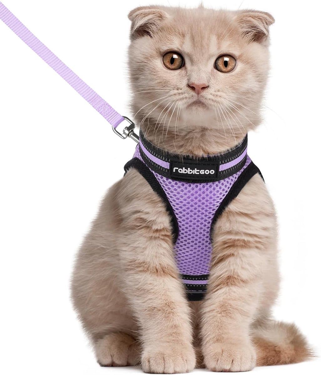 Ontsnappingsvrij Kattenharnas met Lichte en Reflecterende Lijn - Verstelbaar Borstharnas voor Kitten en Kleine Hondjes - Lichtpaars, Maat L