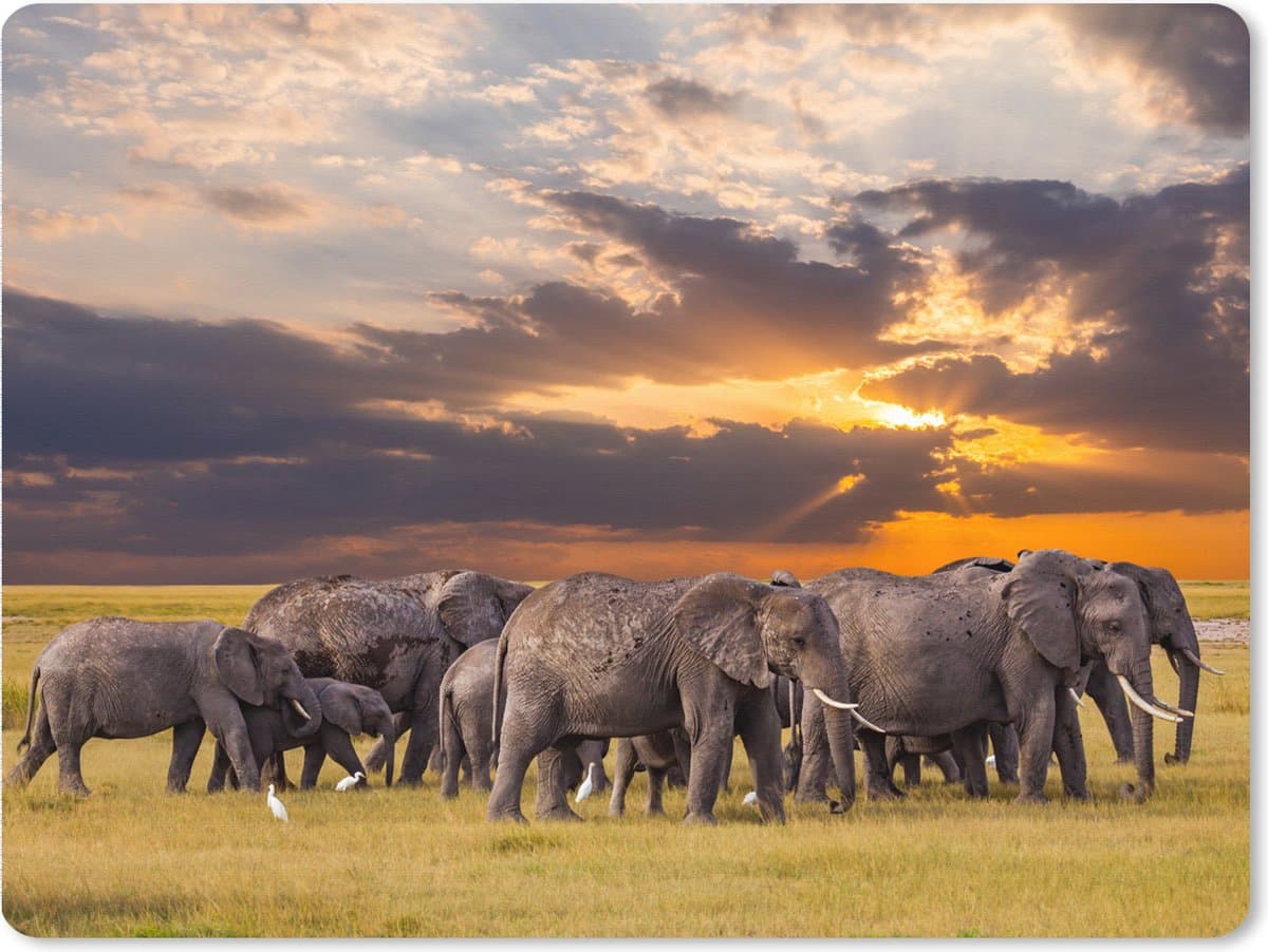 Muismat XXL 80x60 cm - Bureau onderlegger - Bureau mat Olifant - Dieren - Gras - Zonsondergang - Natuur - Bureaumat - Gaming mousepad xl - Bureaulegger groot - Computer deskmat