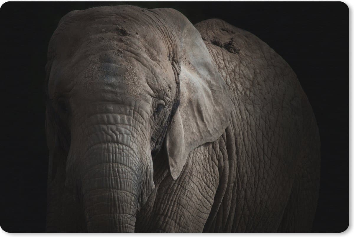 Muismat XXL 90x60 cm - Bureau onderlegger - Bureau mat Olifant - Portret - Dieren - Zwart - Bureaumat - Gaming mousepad xl - Bureaulegger groot - Computer deskmat