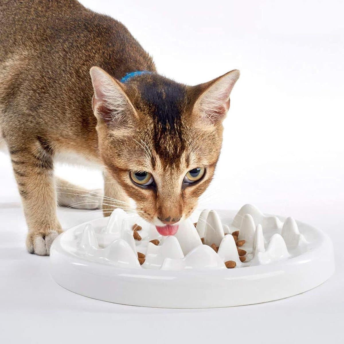 Interactieve keramische Anti-Scrub Voerbak voor Katten en Kleine Honden - Angstvermijding - Geschikt voor Kleine, Middelgrote en Grote Huisdieren