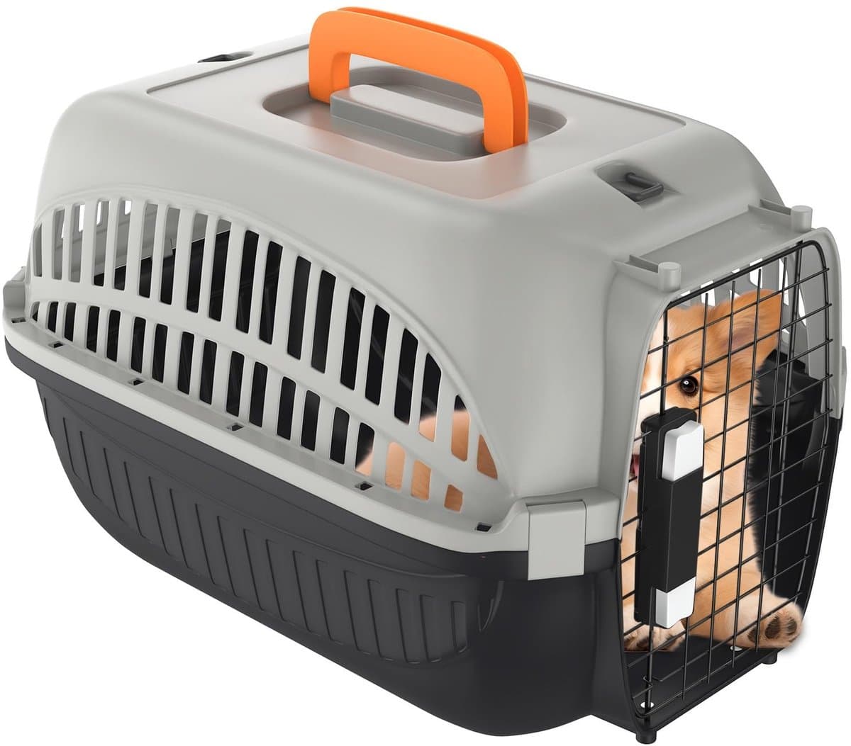 Huisdier Transportbox - Reismand Kooi - Veilig Vervoer - Versterkte IJzeren Deur - 48 x 32 x 32 cm - Grijs