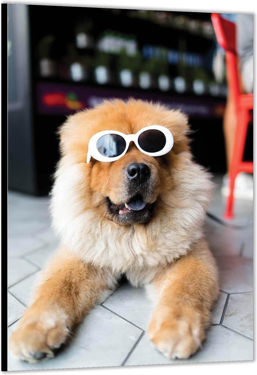 Dibond –Grappige Hond met Witte Zonnebril– 40x60 Foto op Aluminium (Wanddecoratie van metaal)