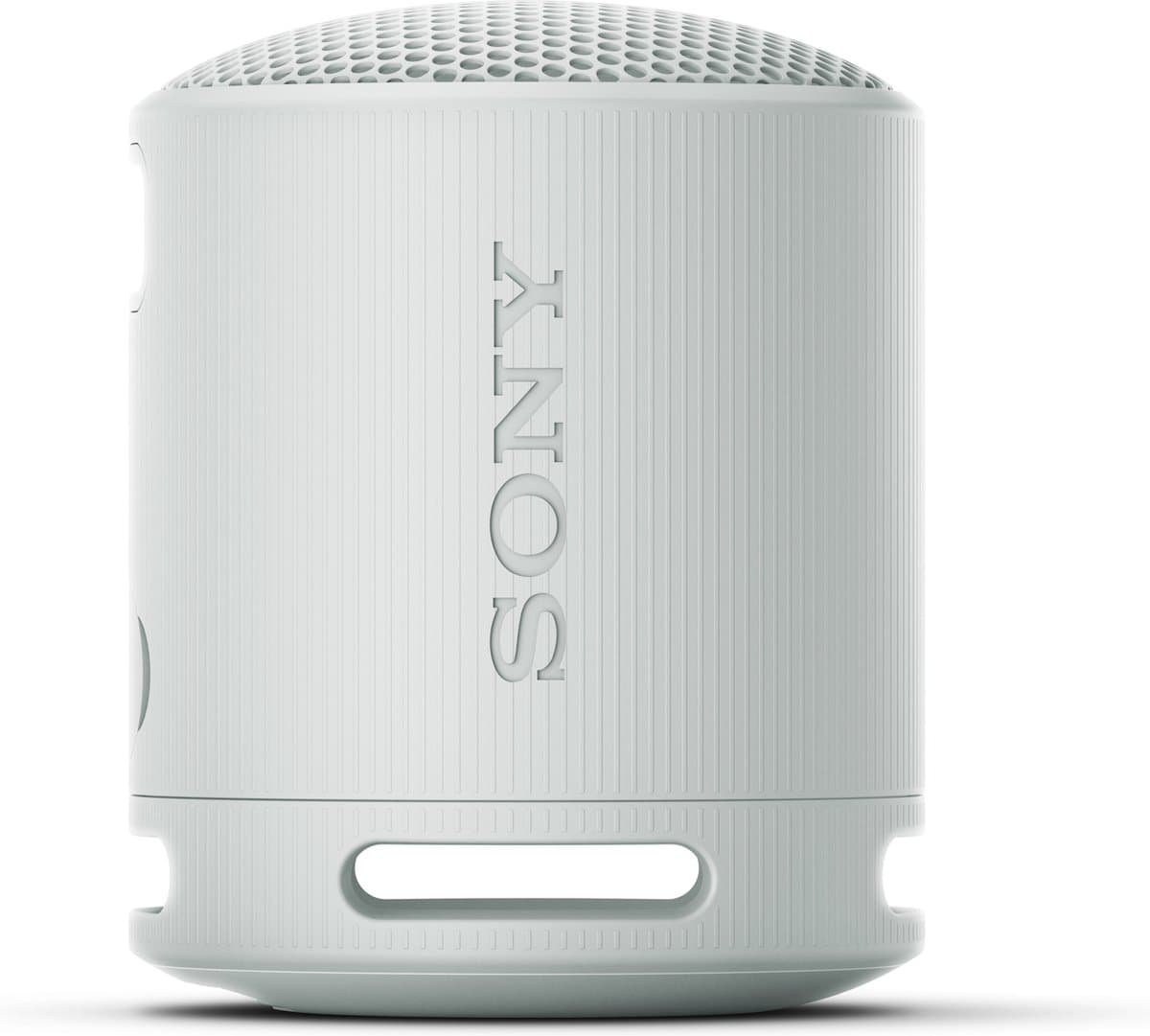 Sony SRS-XB100 Grijs