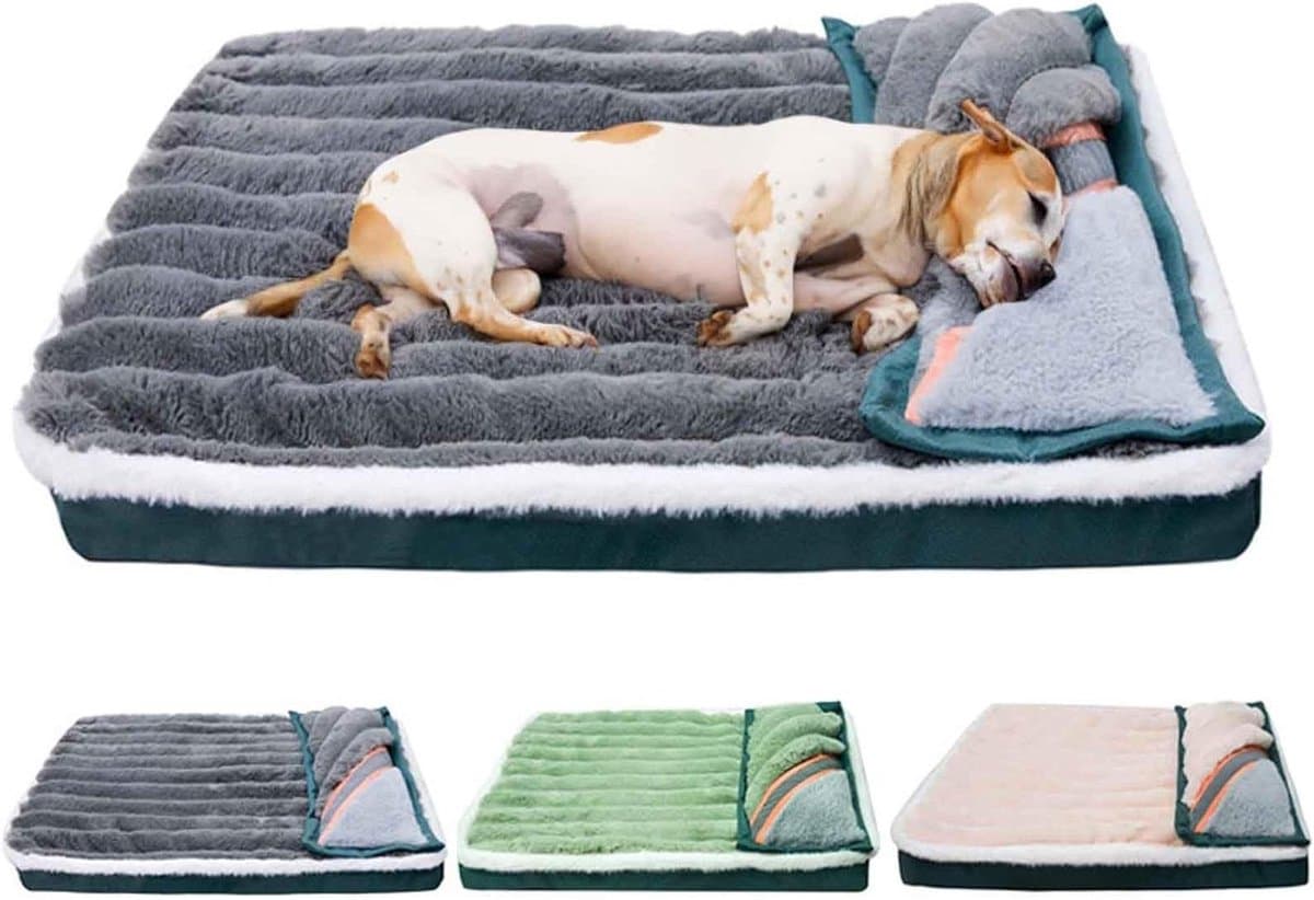 Orthopedisch Hondenbed - Huisdierbank Kussen - Comfortabel Rusten - Antislip Bodem - S - Groen