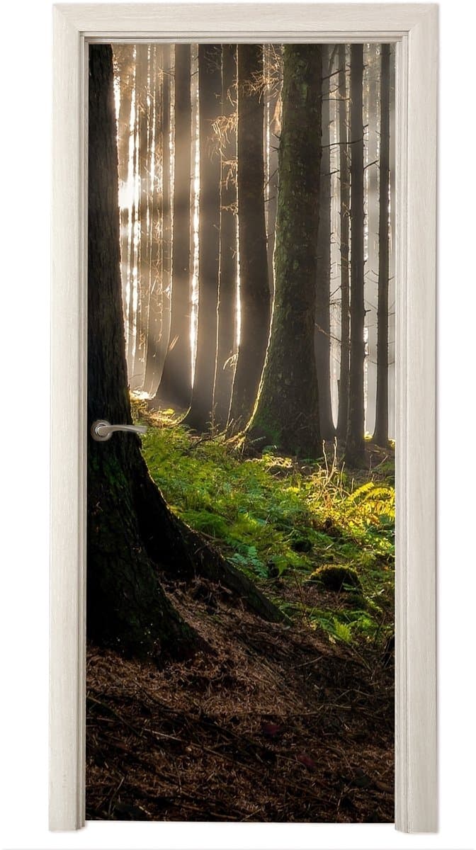 Deurposter 75x205 cm - Deursticker Zon - Takken - Bomen - Bos - Natuur - Meubelfolie zelfklevend - Deurfolie woonkamer - Interieurfolie fotobehang - Deur plakfolie - Deurstickers - Deurbehang sticker - Kamer decoratie