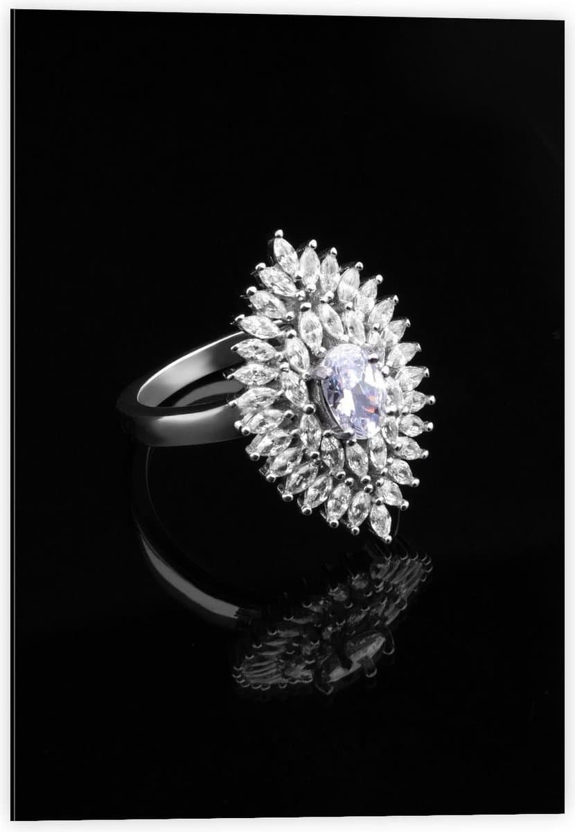 Dibond - Grote Ruitvormige Diamanten Ring - 40x60cm Foto op Aluminium (Wanddecoratie van metaal)
