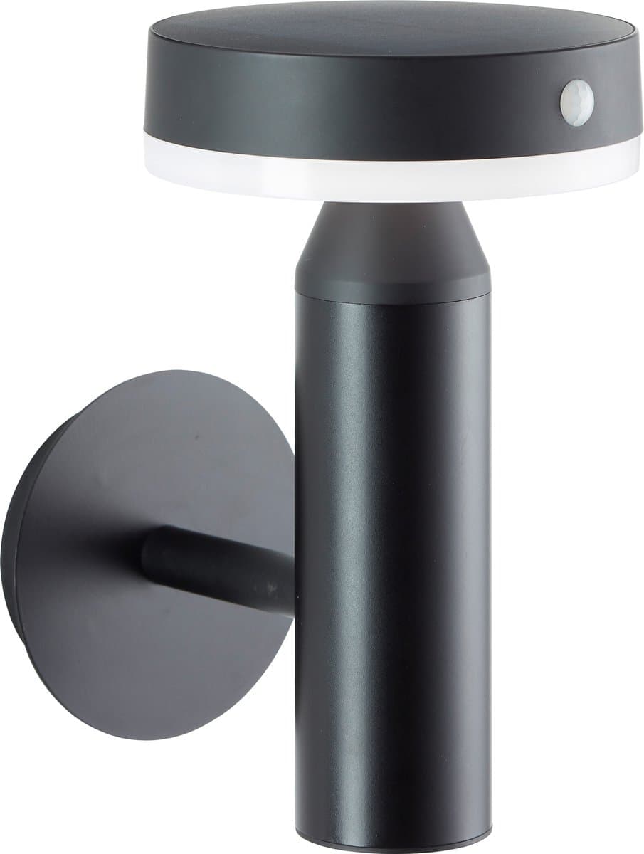 Brilliant Led Buitenwandlamp Op Zonne-Energie, 20 Cm, 350 Lm, 4000 K, Metaal, Zwart