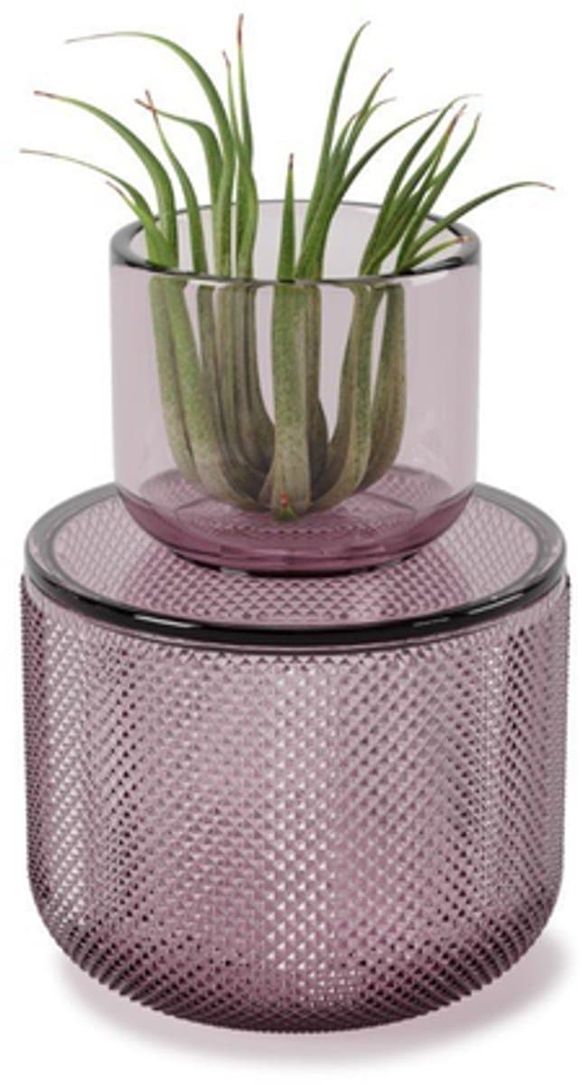 Umbra Allira badkameropberger 10x10x15cm Glas Paars