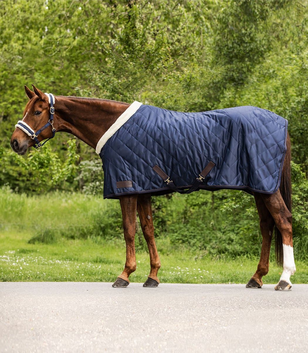 WALDHAUSEN SHOW- EN TRANSPORTDEKEN EXCLUSIVE 50G Donkerblauw