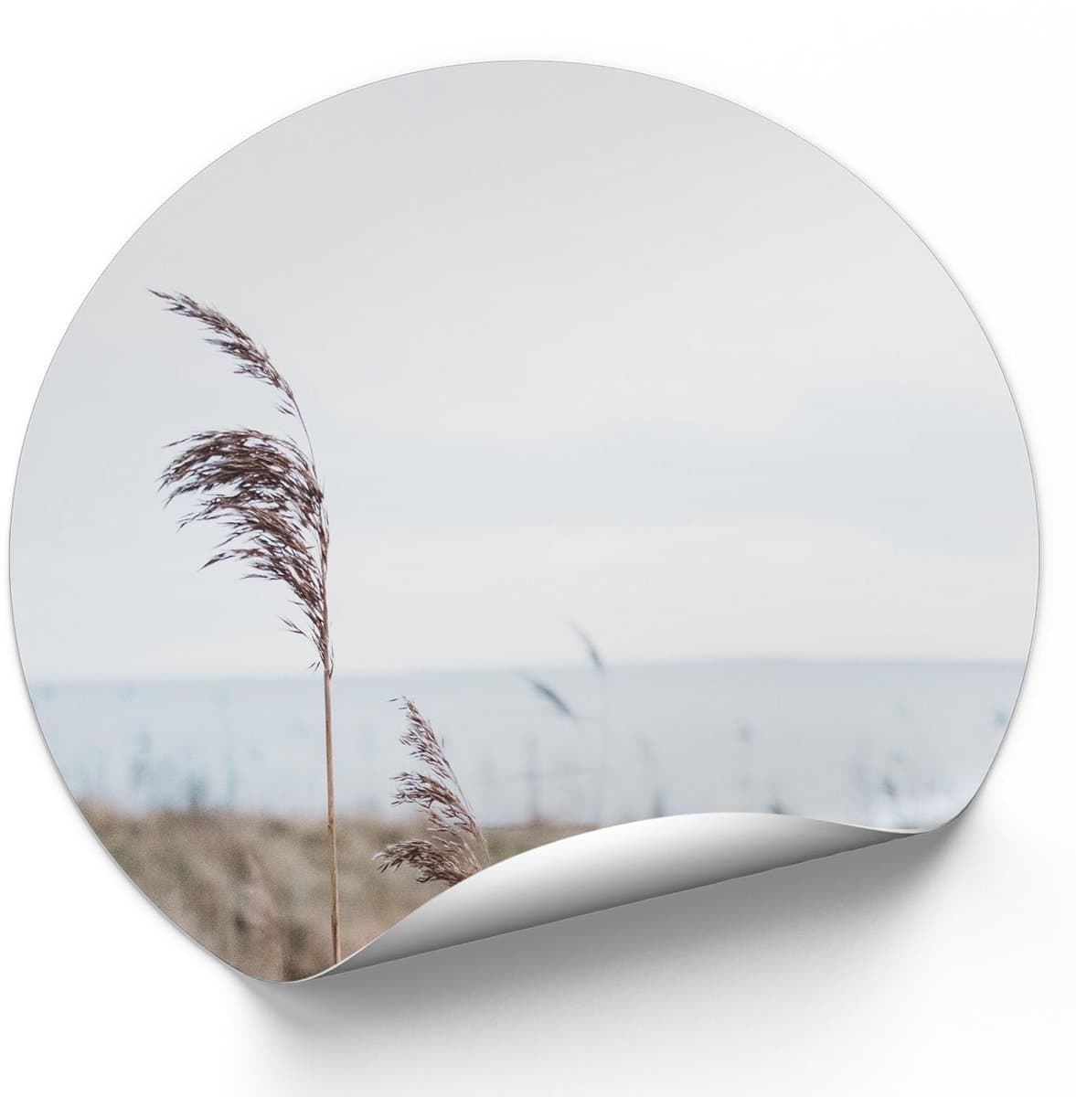 Muurcirkel Natuur foto design 2 - Ø 120 cm - muurcirkel - natuur muurcirkel