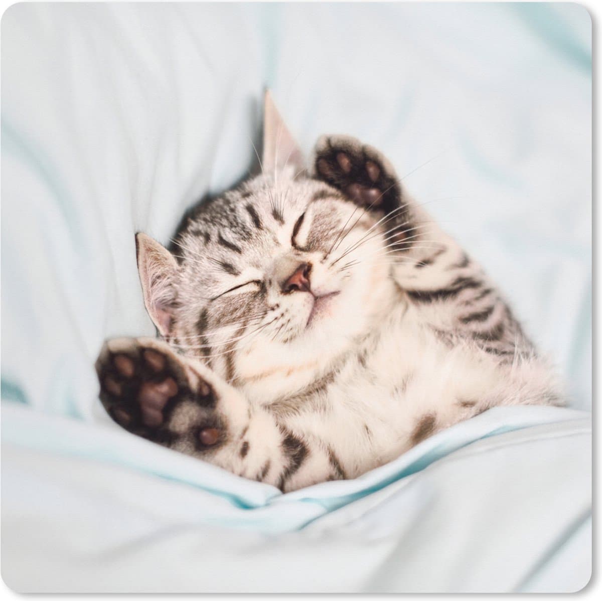 Muismat XXL 60x60 cm - Bureau onderlegger - Bureau mat Kitten - Grappig - Bed - Kinderen - Jongens - Meisjes - Kids - Bureaumat - Gaming mousepad xl - Bureaulegger groot - Computer deskmat