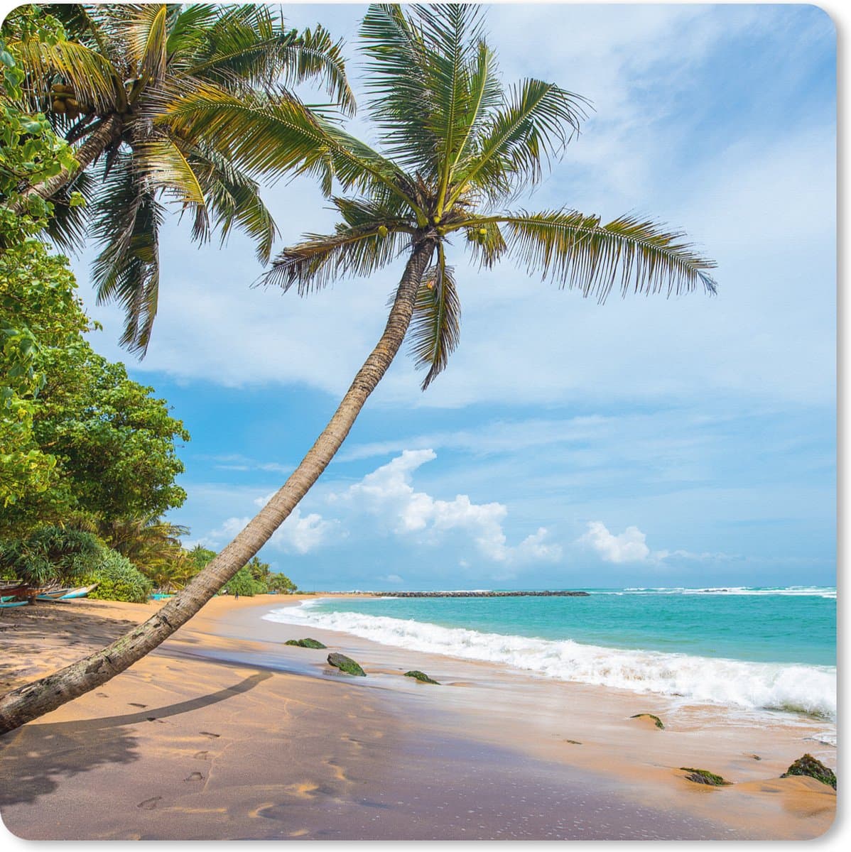 Muismat XXL 40x40 cm - Bureau onderlegger - Bureau mat Palmboom - Strand - Zee - Bureaumat - Gaming mousepad xl - Bureaulegger groot - Computer deskmat