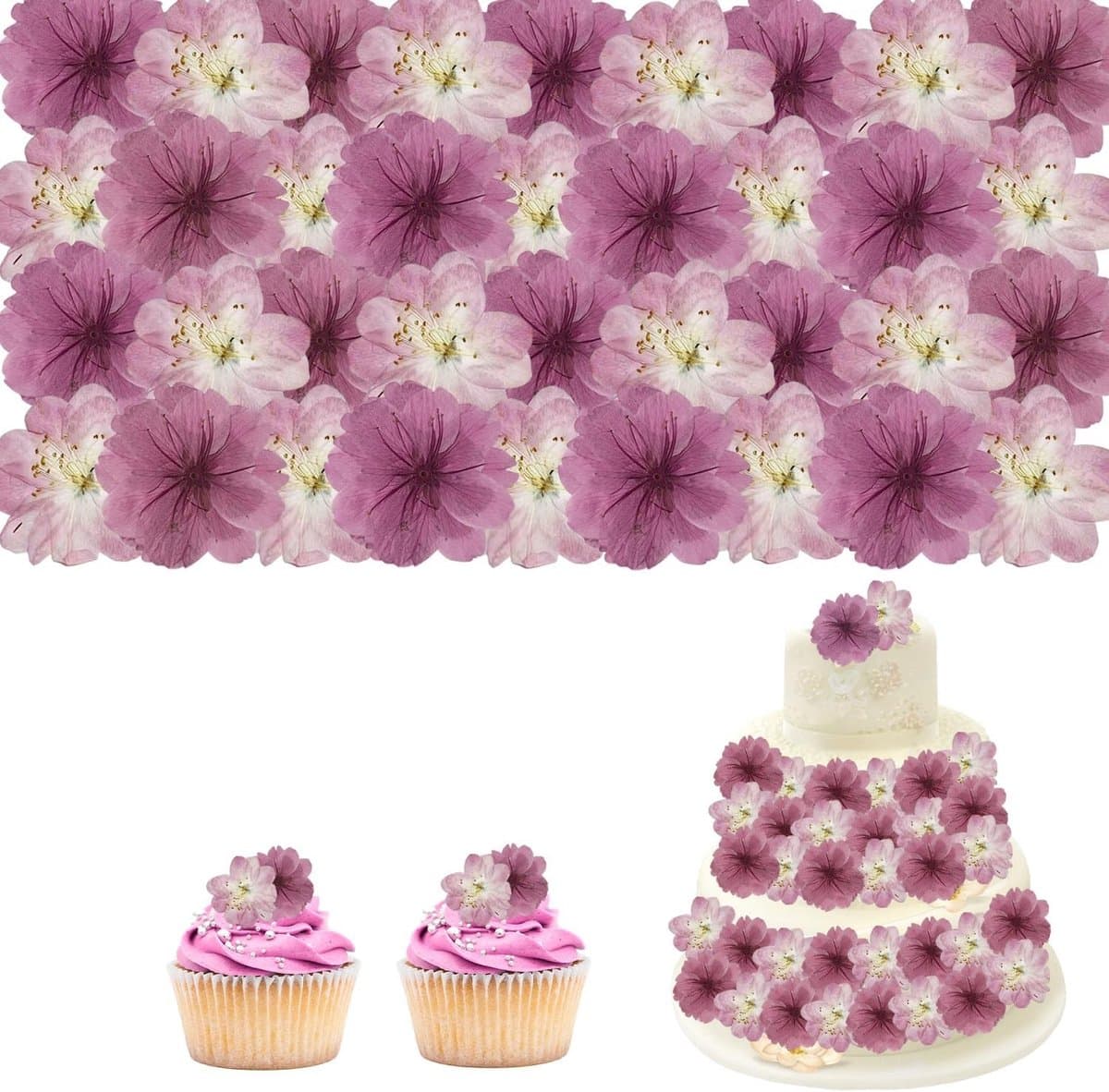 48 Stuks Gedroogde Kersenbloesems voor Taartdecoratie, Cupcake Toppers en Ambachtelijke Projecten, Niet Eetbaar