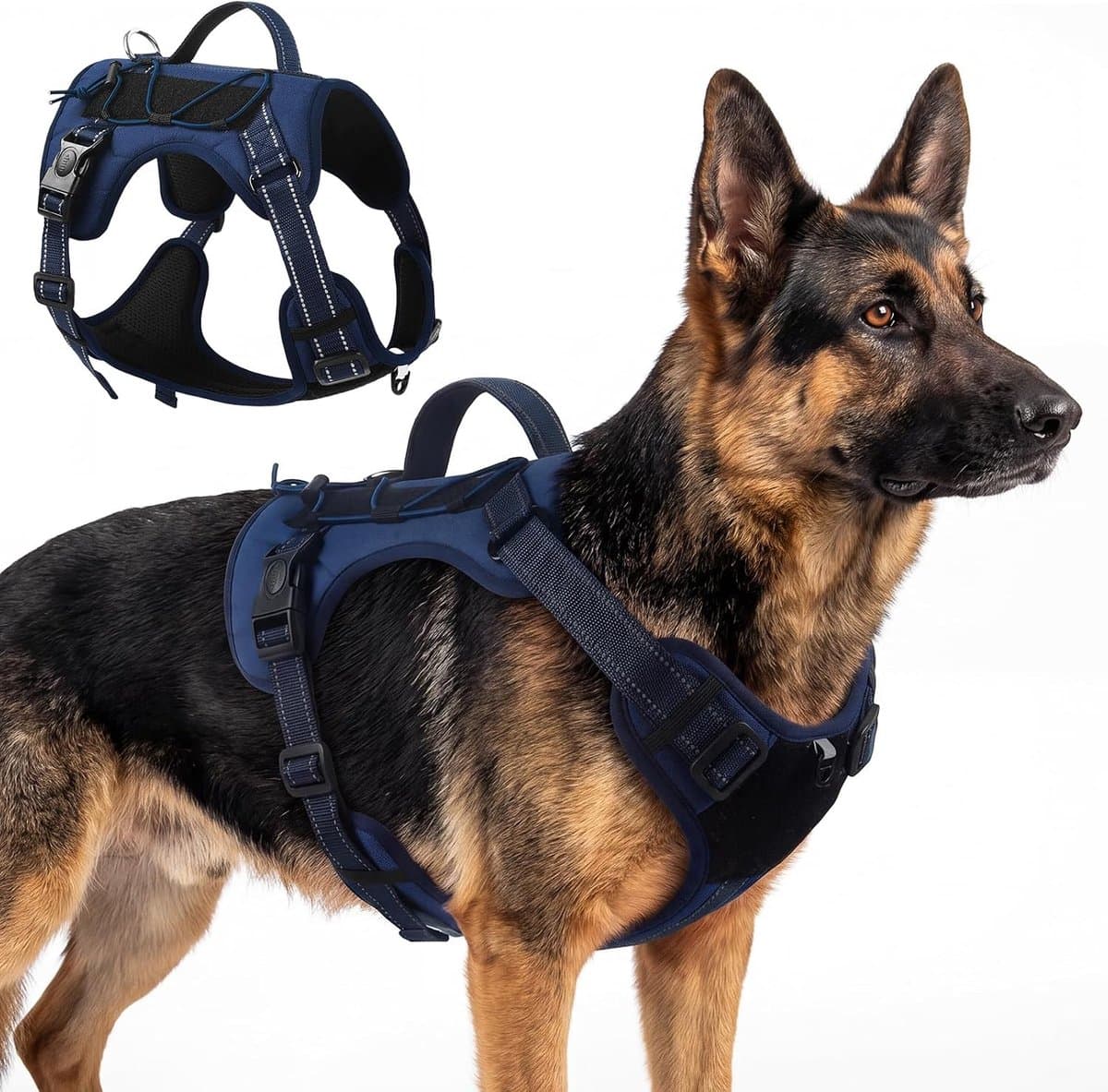 Geen trekharnas voor honden (donkerblauw, XL)