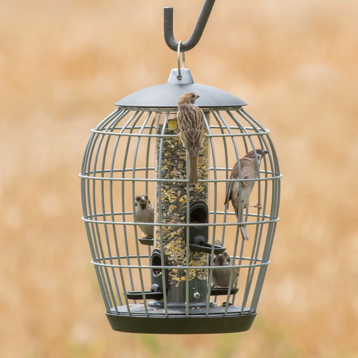 CJ Wildlife Voedersilo met Beschermkooi voor Tuinvogels - Aura - Vogelvoedersilo voor Kleine Vogels - Vogelvoederhuisje - Hangend & Staand mogelijk - Vogelvoer Silo - Groen
