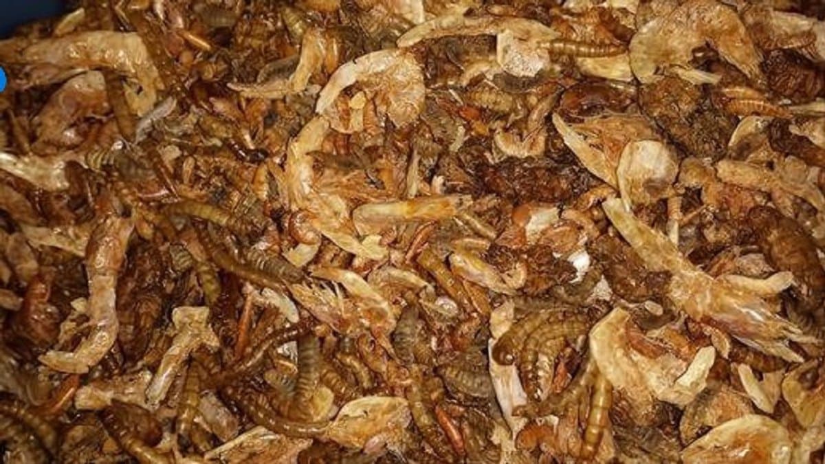Natuurmix (10 liter emmer)
