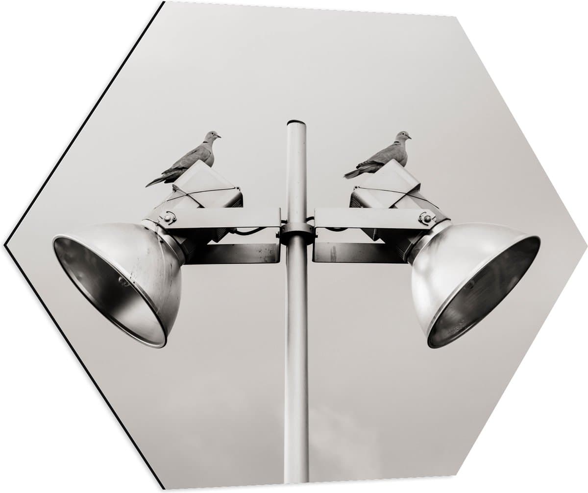 Dibond Hexagon - Grote Speakers op Paal - 70x60.9 cm Foto op Hexagon (Met Ophangsysteem)