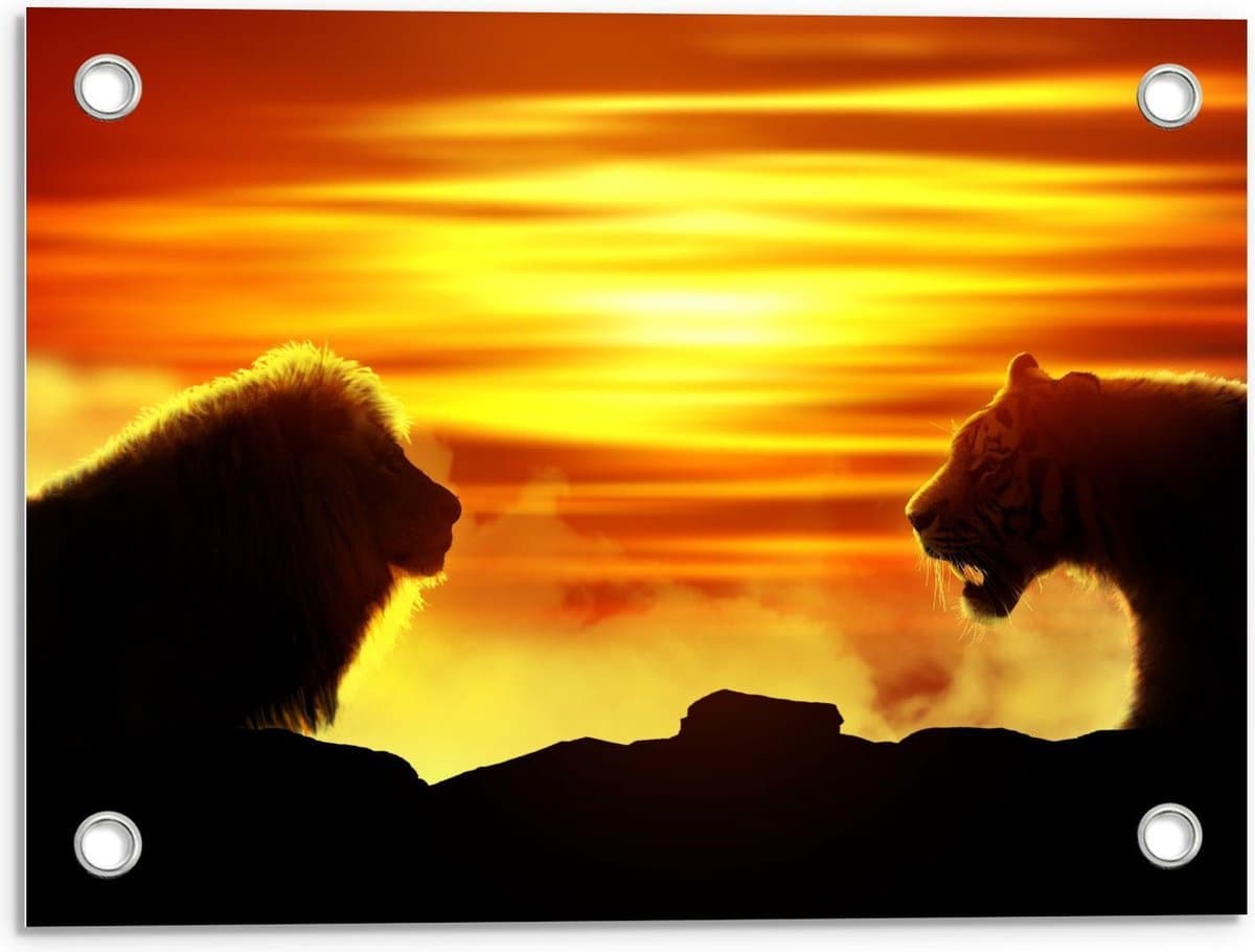 Tuinposter – Silhouet van Tijger tegenover Leeuw  - 40x30cm Foto op Tuinposter  (wanddecoratie voor buiten en binnen)