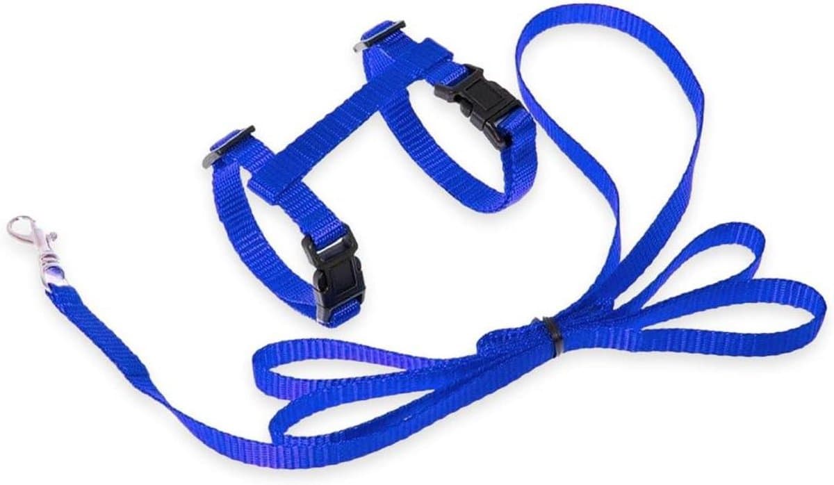Kattentuigje - Harnas met lijn - Veilig naar buiten - Verstelbaar en compleet - 120 cm lijn - Blauw