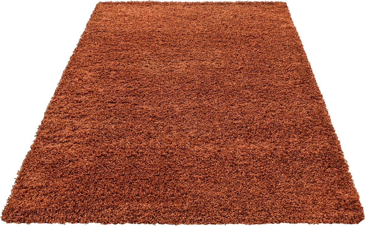 Basic Shaggy vloerkleed Terra / Oranje Hoogpolig- 200x290 CM