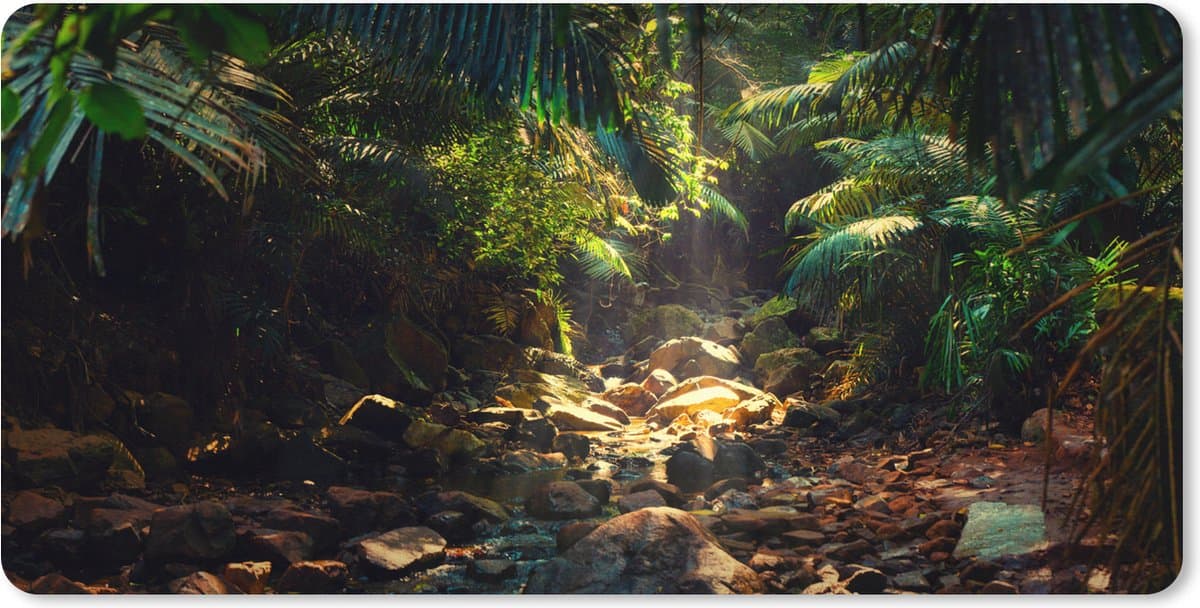 Muismat XXL 90x45 cm - Bureau onderlegger - Bureau mat Jungle - Zon - India - Jongens - Meisjes - Kinderen - Bureaumat - Gaming mousepad xl - Bureaulegger groot - Computer deskmat