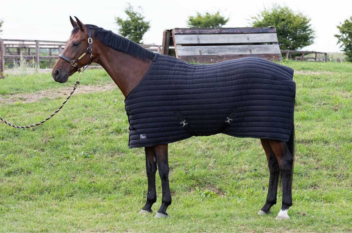 Harry's Horse Onderdeken Harry's Horse Powerliner 200gr Zwart - 145/195