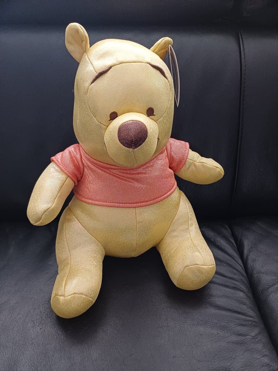 Pooh Pluche met Print en Geluid -