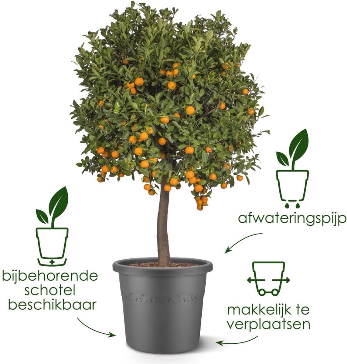 Elho Algarve Cilindro 40 - Bloempot voor Buiten - 100% Gerecycled Plastic - Ø 40 x H 29 cm - Tijmgroen