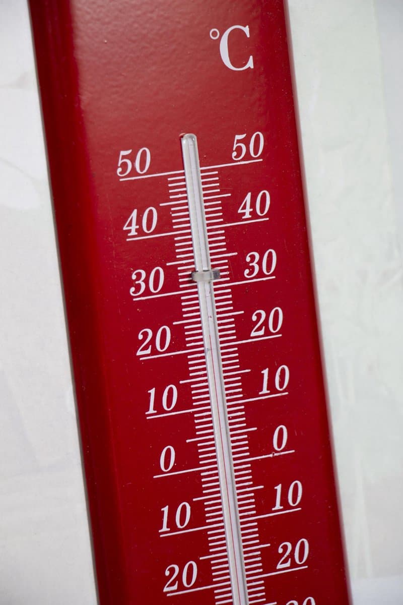 Tuinthermometer - Thermometer - Gradenmeter Celcius