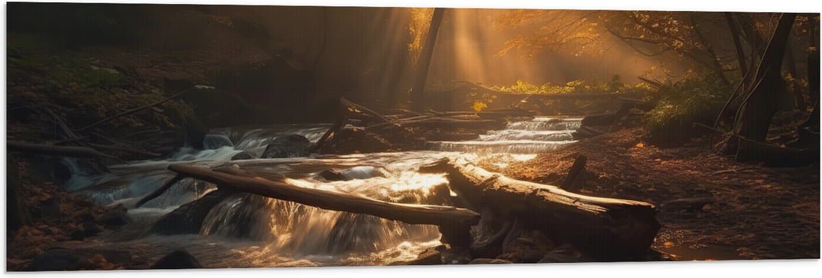 Vlag - Bossen - Bomen - Takken - Stenen - Zonlicht - 120x40 cm Foto op Polyester Vlag