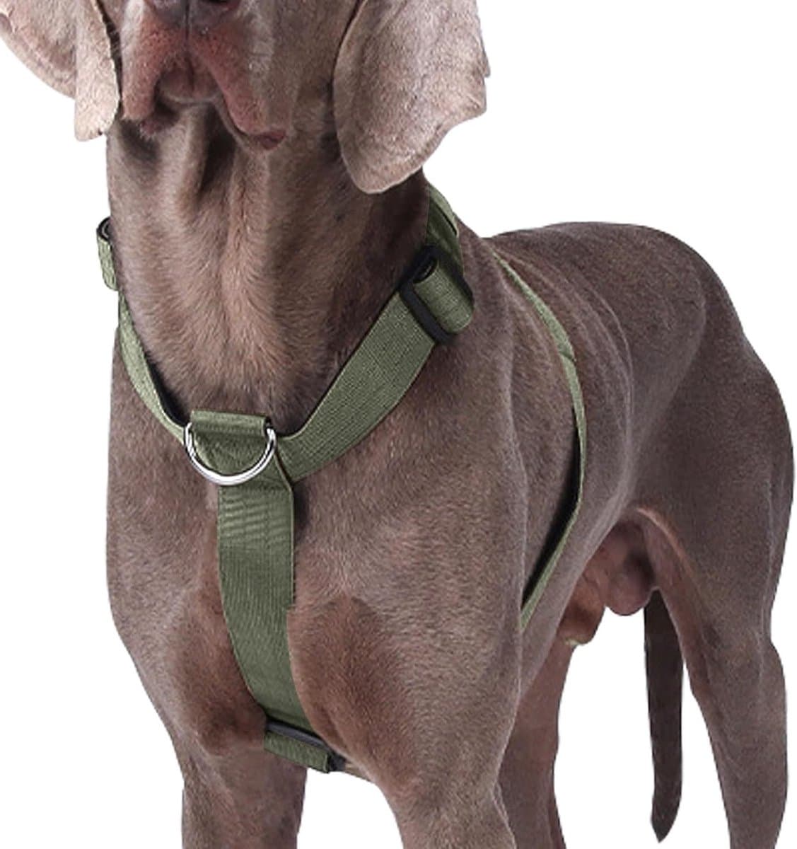 Verstelbaar en Zacht Gevoerd Harnas voor Honden, Stevig en Lichtgewicht, Ideaal voor Training en Wandelen met Middelgrote en Grote Honden