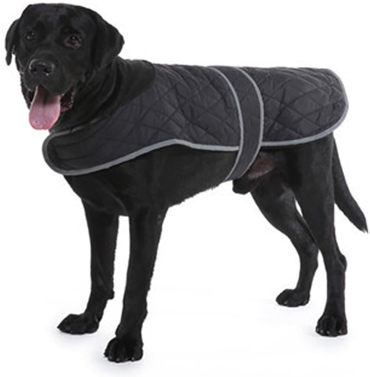 Dailygoods- Hondenjas Waterdicht - Winterjas voor Honden - Fleecevoering - Verstelbare Banden - Gat voor Harnas - Geschikt voor Honden van 3,5 tot 6,5 kg - Hondenkleding