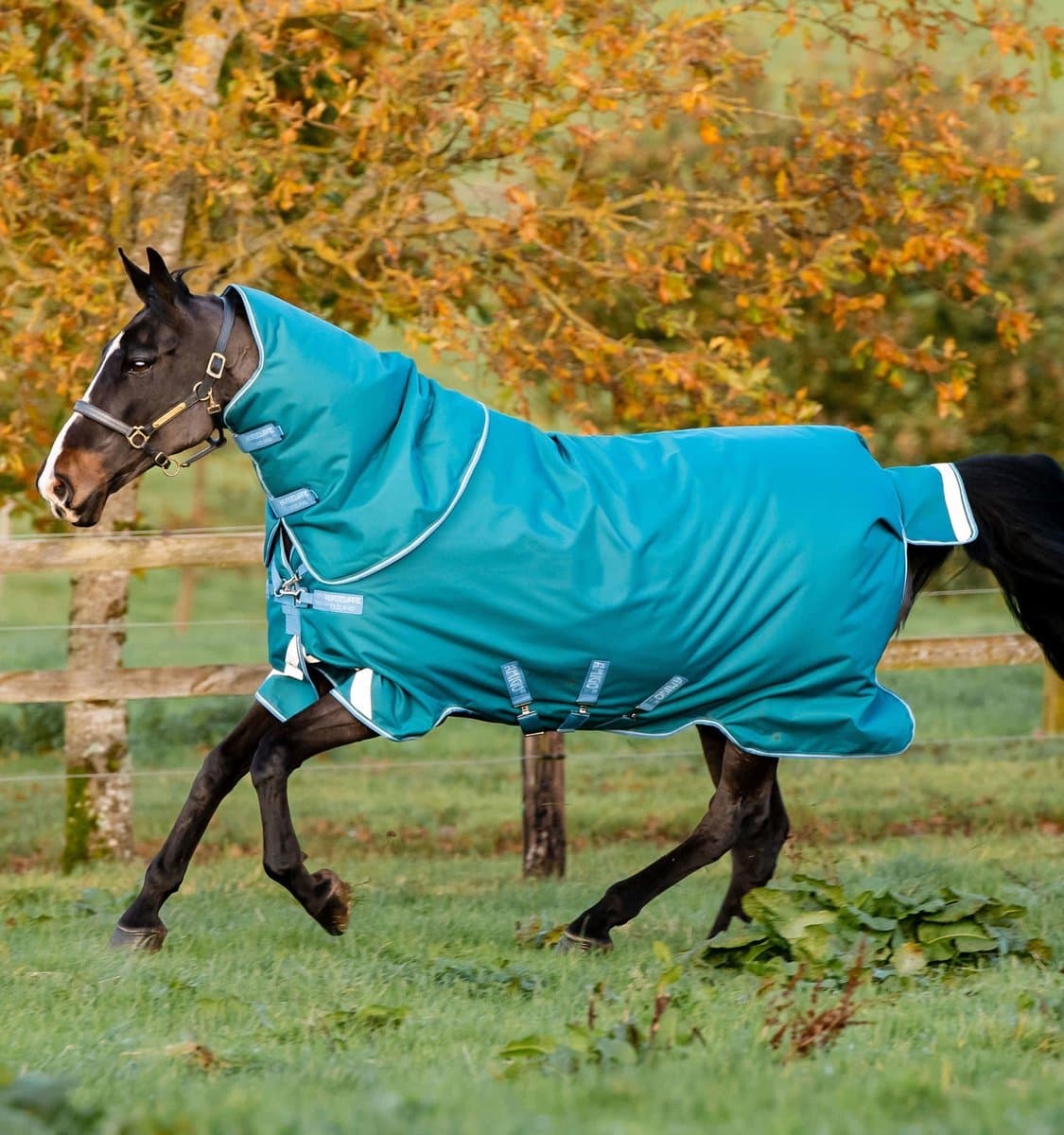 Horseware Deken Horseware Amigo Plus Met Hals 400gr Donkerblauw-grijs - 145/198
