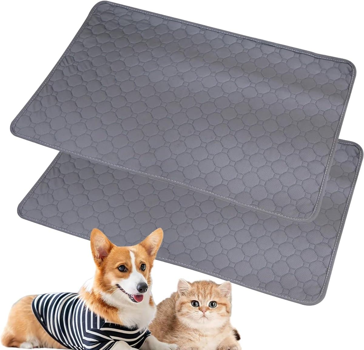 Pipipads voor cavia's, 70 x 50 cm, wasbaar, hondentrainingspads, herbruikbare puppypads voor konijnen, hamsters, puppy's, 2 stuks