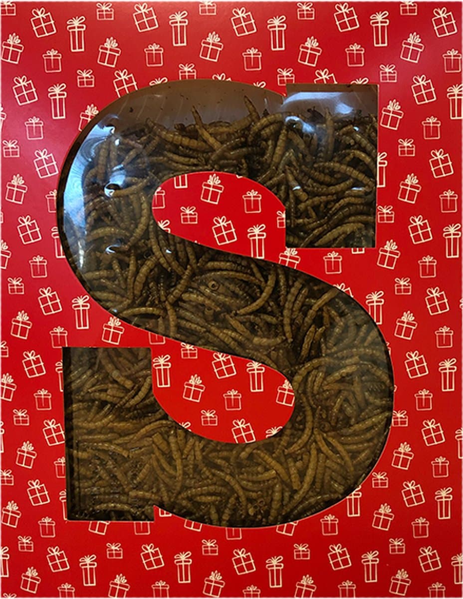 Sint Letterdoosje Meelwormen voor Kippen Het Sinterklaaskado