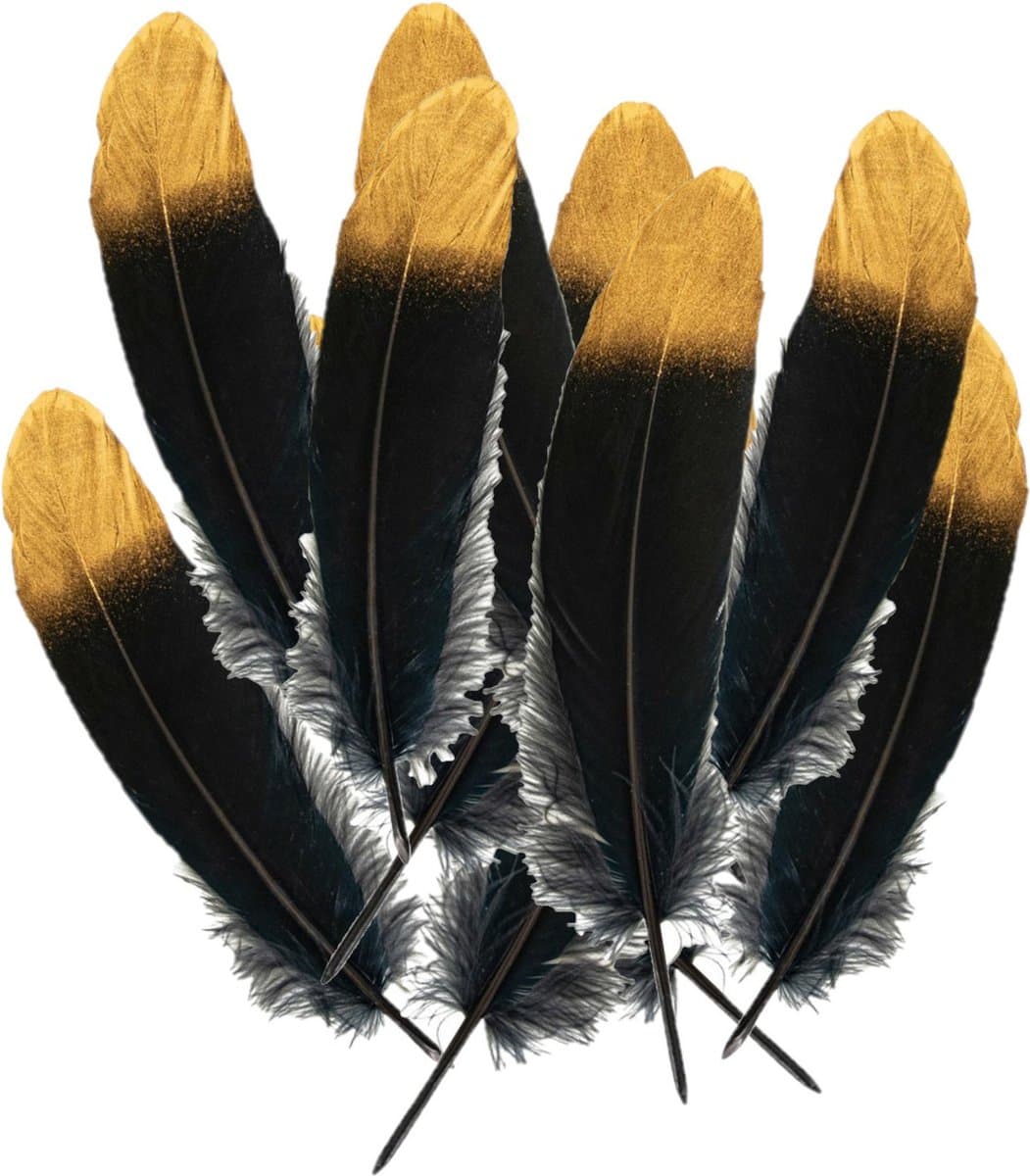 Partyxplosion Ganzenveer/sierveer - 50x stuks - zwart met goud - 18-22 cm - decoratie/hobbymateriaal