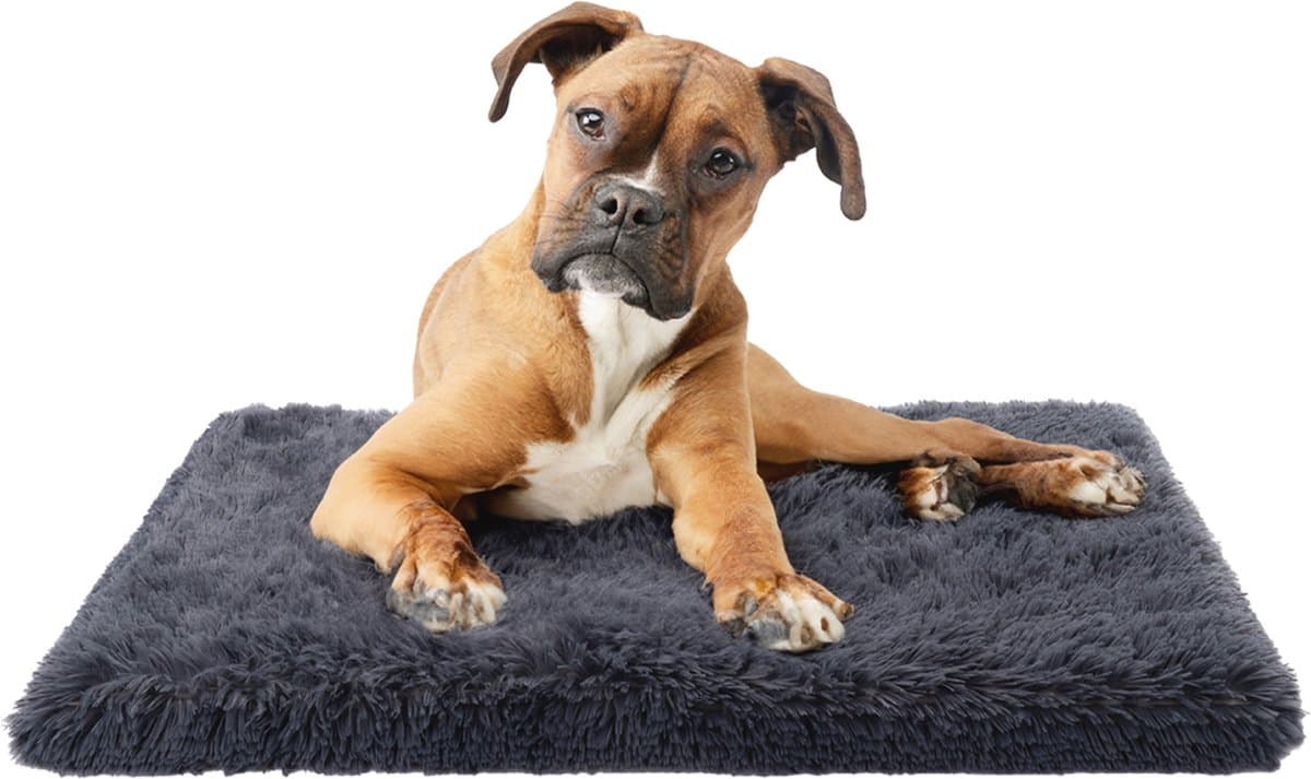 Paco - Comfortabel Ligkussen voor Honden & Katten - 80x50x7cm - Antraciet
