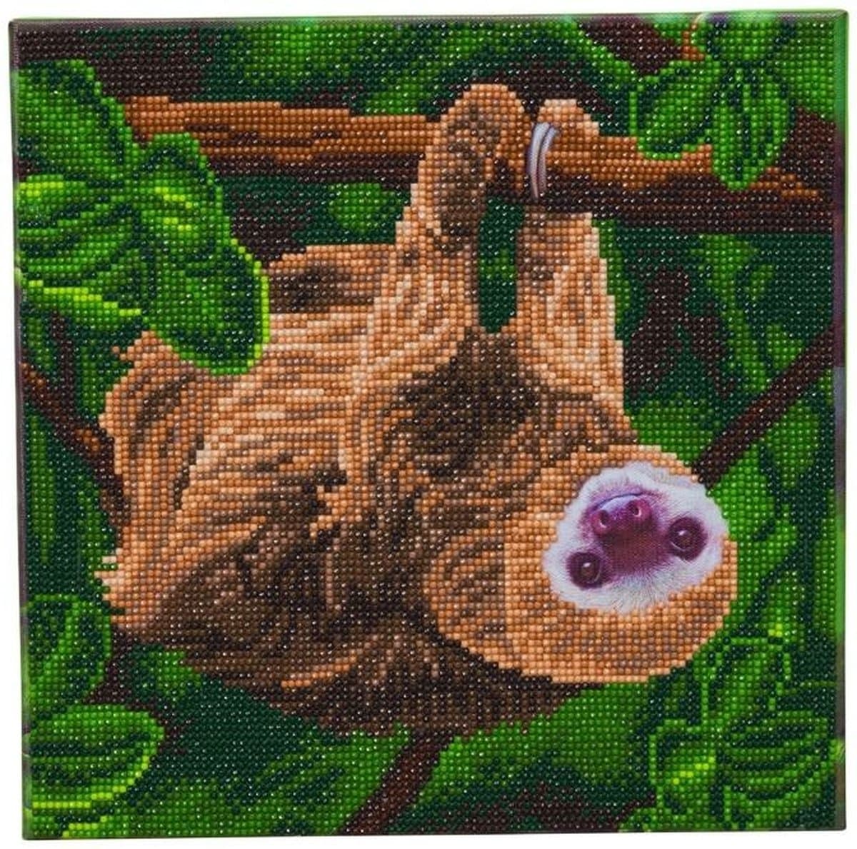 Diamond Painting Pakket Luiaard 30 x 30 cm