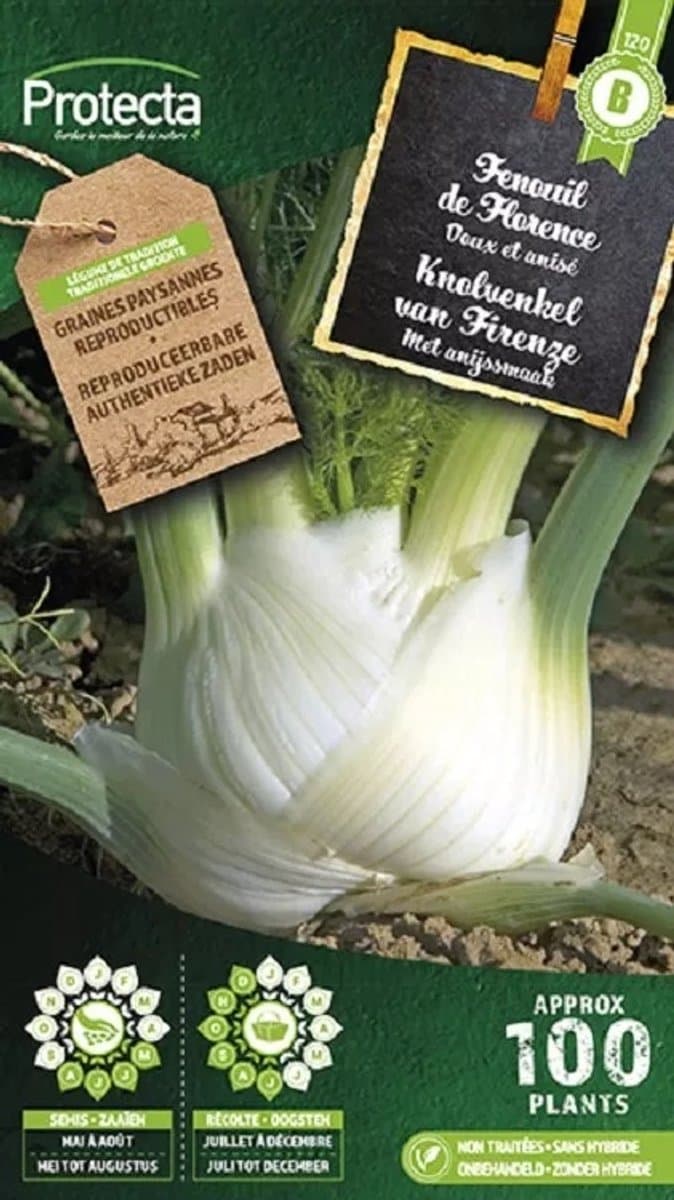Protecta Groente zaden: Knolvenkel Zachte van Firenze