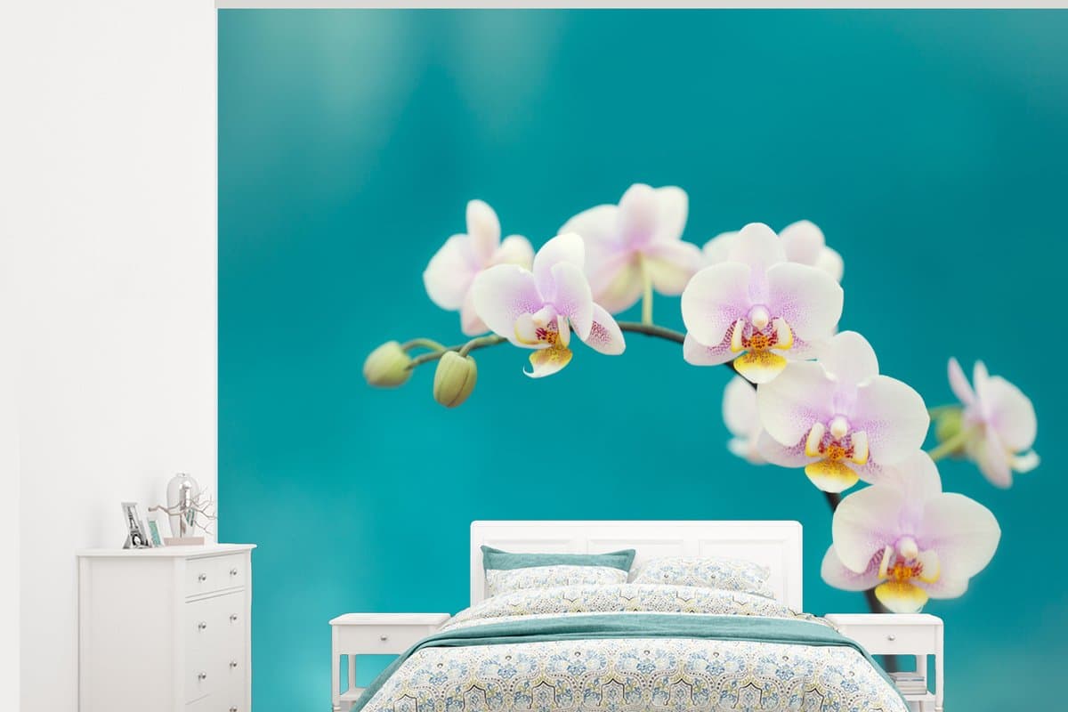 Behang - Fotobehang Orchidee - Bloemen - Plant - Wit - Paars - Breedte 325 cm x hoogte 260 cm