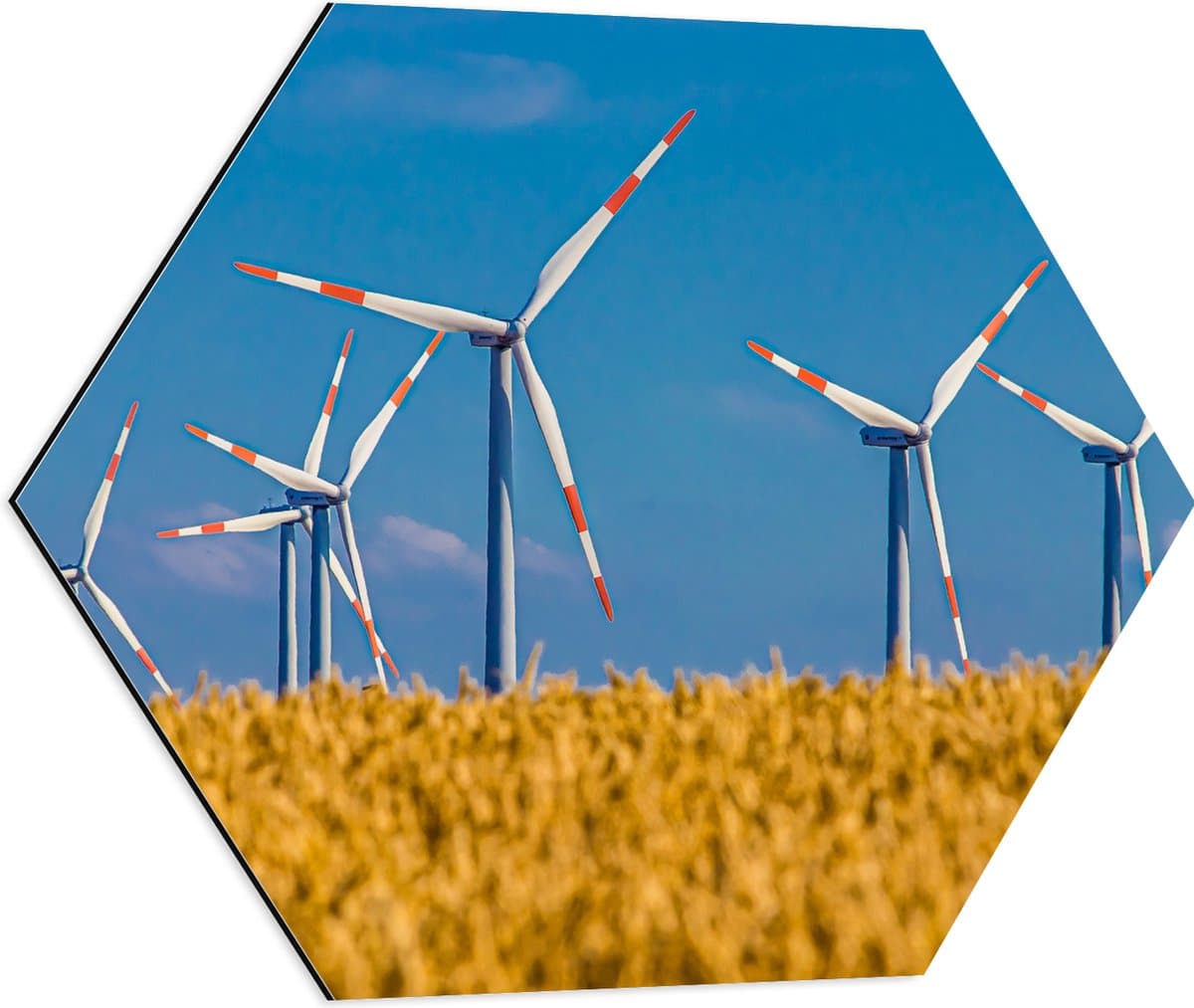 Dibond Hexagon - Landschap - Windmolens - Kleuren - 60x52.2 cm Foto op Hexagon (Met Ophangsysteem)