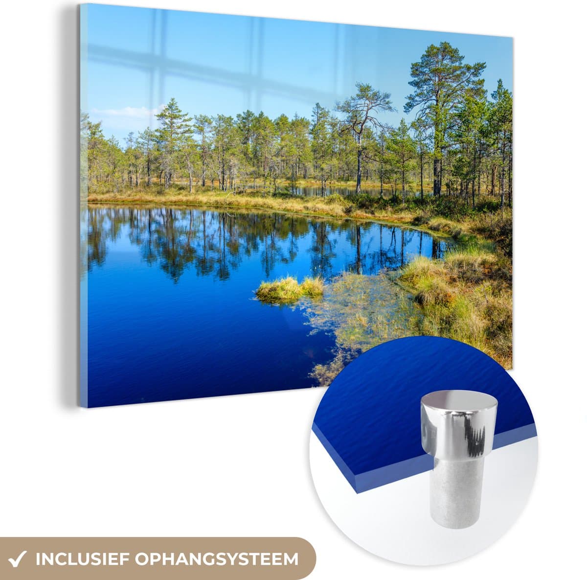 ® Glasschilderij 90x60 cm - Schilderij acrylglas - Groene bomen aan de rand van het blauwe water in het moeras in het Estlandse Lahemaa - Foto op glas - Muurdecoratie woonkamer - Wanddecoratie slaapkamer - Schilderijen