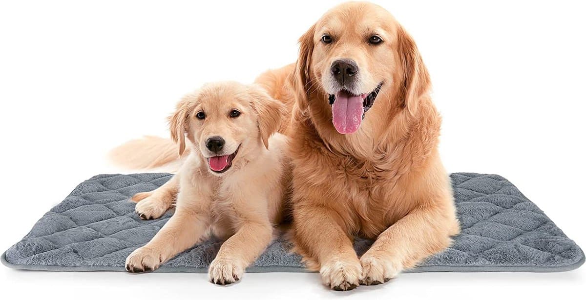 Hondenbed – luxe hondenbed voor grote honden