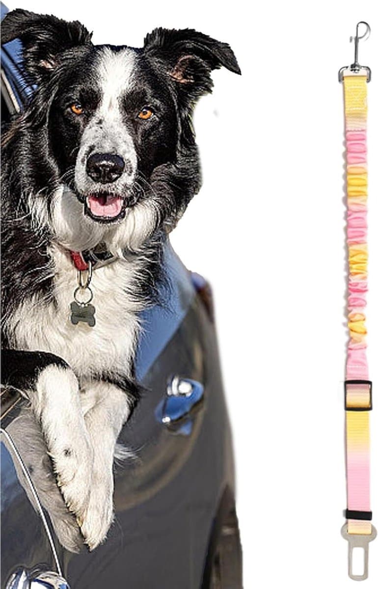 Honden Autogordel - Harnas Vest - Veilig Reizen - Schokbestendige Buffer - Verstelbaar 50-80cm - Stijl C