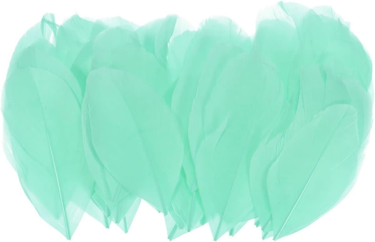 Set van 50 lichtblauwgroene veren voor knutselen, natuurlijke ganzenveren voor bruiloft decoraties, dromenvangers en DIY ambachten