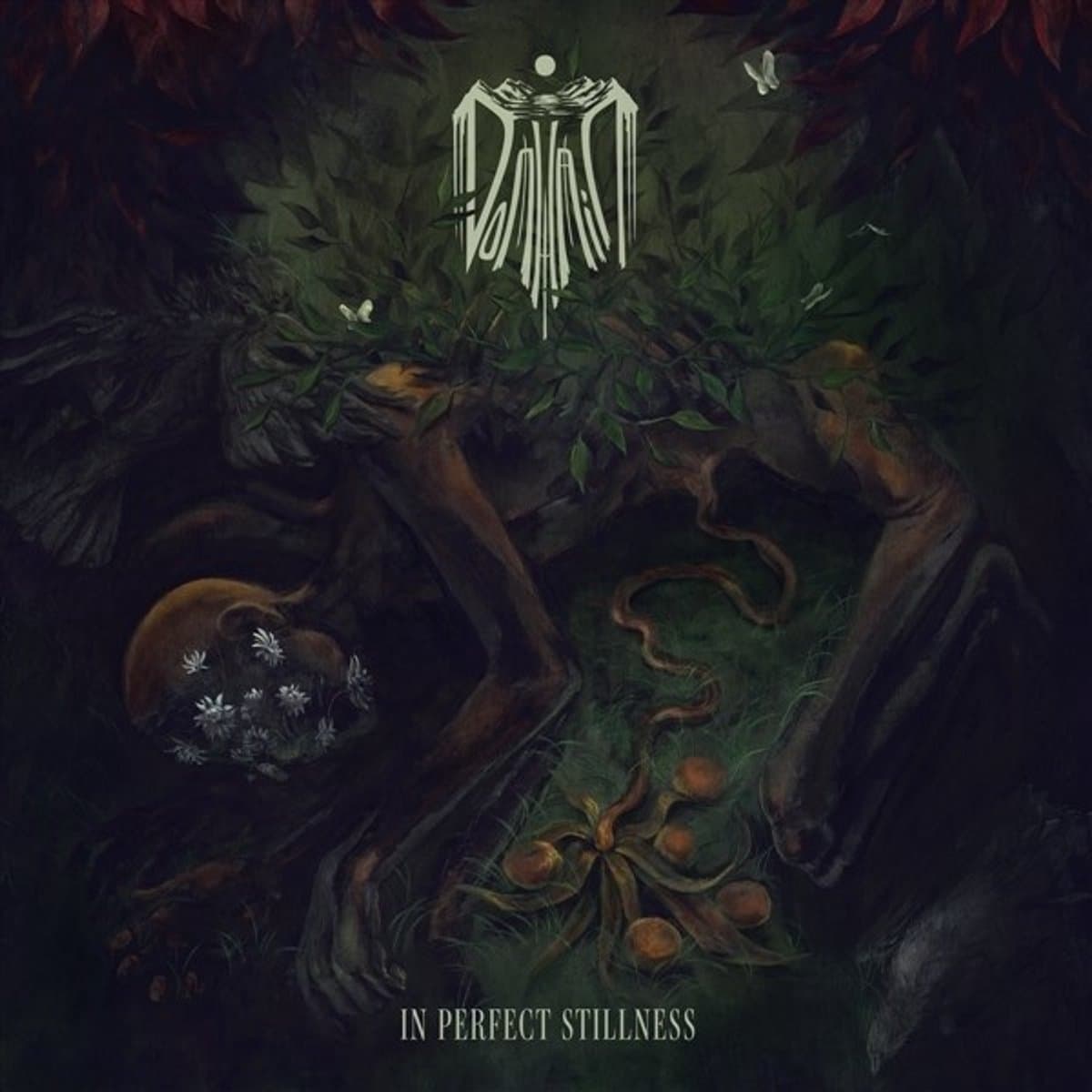 Domhain - In Perfect Stillness (CD)