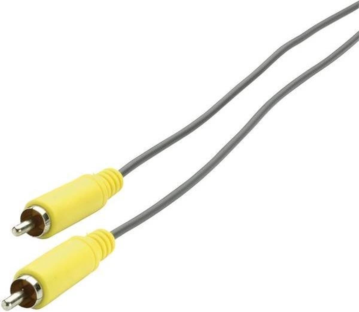 SpeaKa Professional Digitale cinch Digitale audio Aansluitkabel [1x Cinch-stekker - 1x Cinch-stekker] 3.00 m Geel, Grij